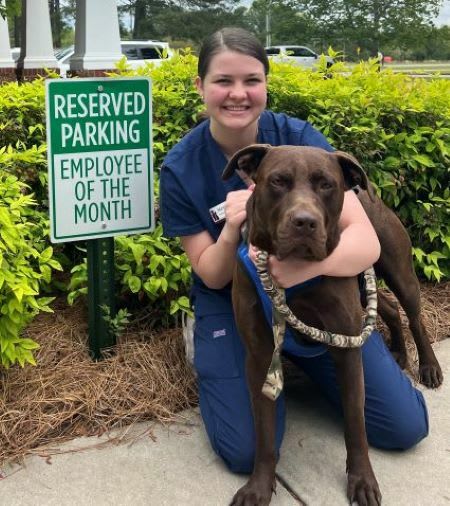 Vet Assistants With a Dog